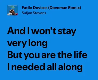 #futiledevices #sufjanstevens #fyp 