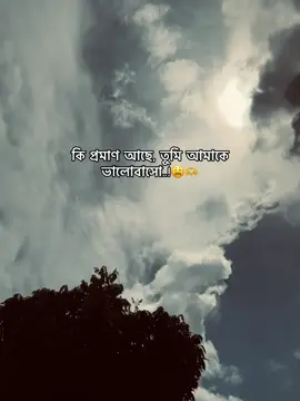 কি প্রমাণ আছে, তুমি আমাকে ভালোবাসো...!😩🫶 #foryou #foy #foryoupage #vairalvideo @TikTok Bangladesh 