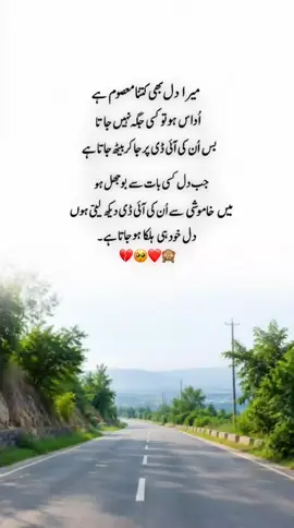 میرا دل بھی اُسی جگہ سکون ڈھونڈتا ہے جہاں وہ ہو۔ ❤️#fyp 