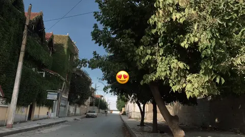 😍💔#viral #foryoupage #تيك_توك #اغاني 