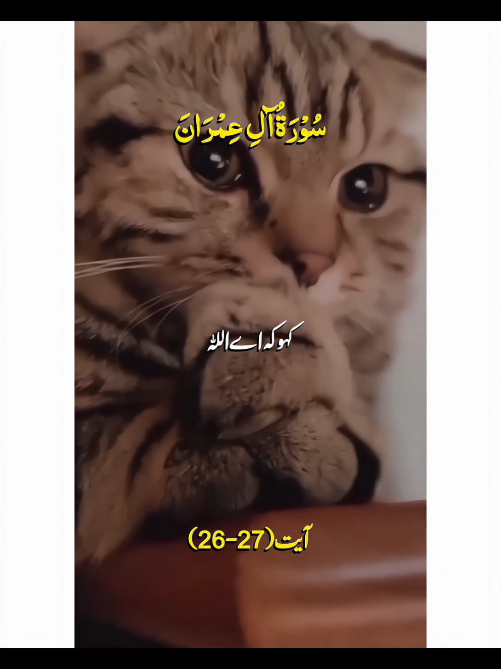 Kaho Aye Allah aye badshahi ki malik.............🤲💯❤️#Foryou #Foryoupage #viral #fyp #goviral 