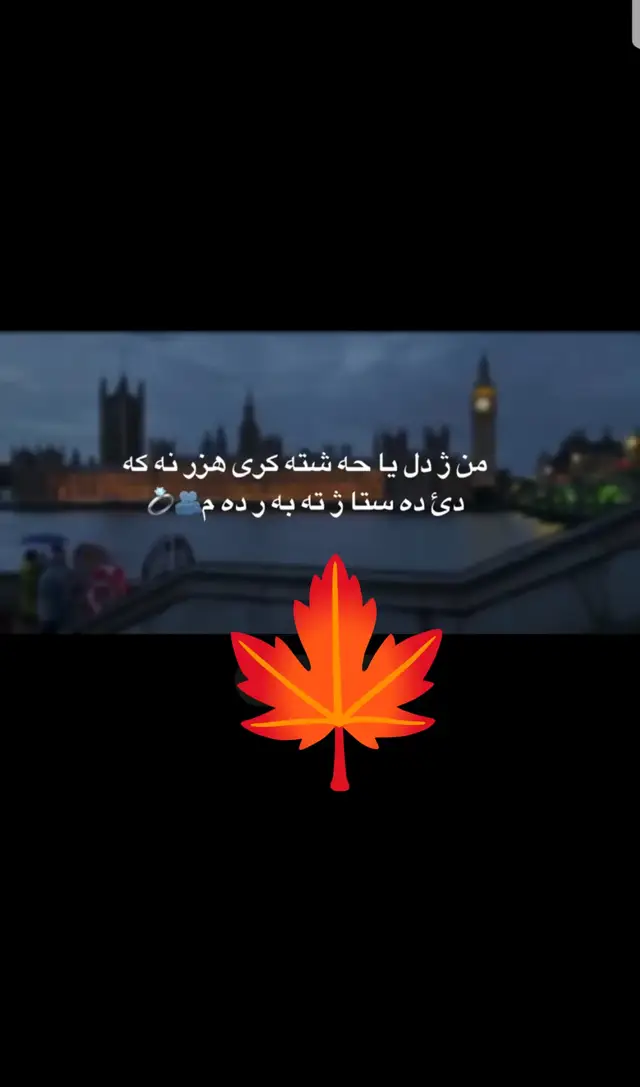 #🥹 #👀 #foryoupage #مشاهير_تيك_توك #🍁 