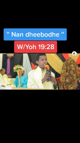 #creatorsearchinsights #fypシ゚viral__ #fyppppppppppppppppppppppp #ethiopianorthodoxchurch⛪⛪⛪⛪ 