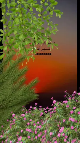 الله کافیست مارا...