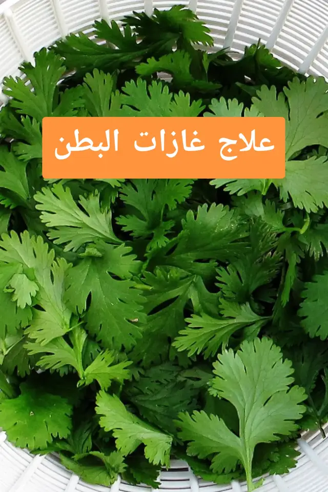 تعاني من غازات البطن؟ 🤔 إليك بعض الوصفات الطبيعية التي يمكن أن تساعدك على التخلص منها بسهولة:  1. **شاي الزنجبيل**: غني بمضادات الالتهاب ويمكن أن يساعد في تهدئة الجهاز الهضمي.  2. **النعناع**: شرب شاي النعناع يمكن أن يساعد في تهدئة المعدة وتخفيف الانزعاج.  3. **الماء الدافئ مع الليمون**: يساعد في طرد الغازات وتنشيط الجهاز الهضمي.  هل لديك وصفات أخرى تجربة؟ شاركنا تجاربك في التعليقات! 🌱💚 #صحي #صحية #تغدية #انتفاخات_البطن #وصفات 