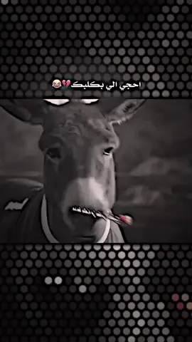 ابو صابر قصفهم😂💔..#تصاميم_فيدوهات #عادت_نشر🔁 #عبارتكم_الفخمه📌📿 #الشعب_الصيني_ماله_حل😂😂 