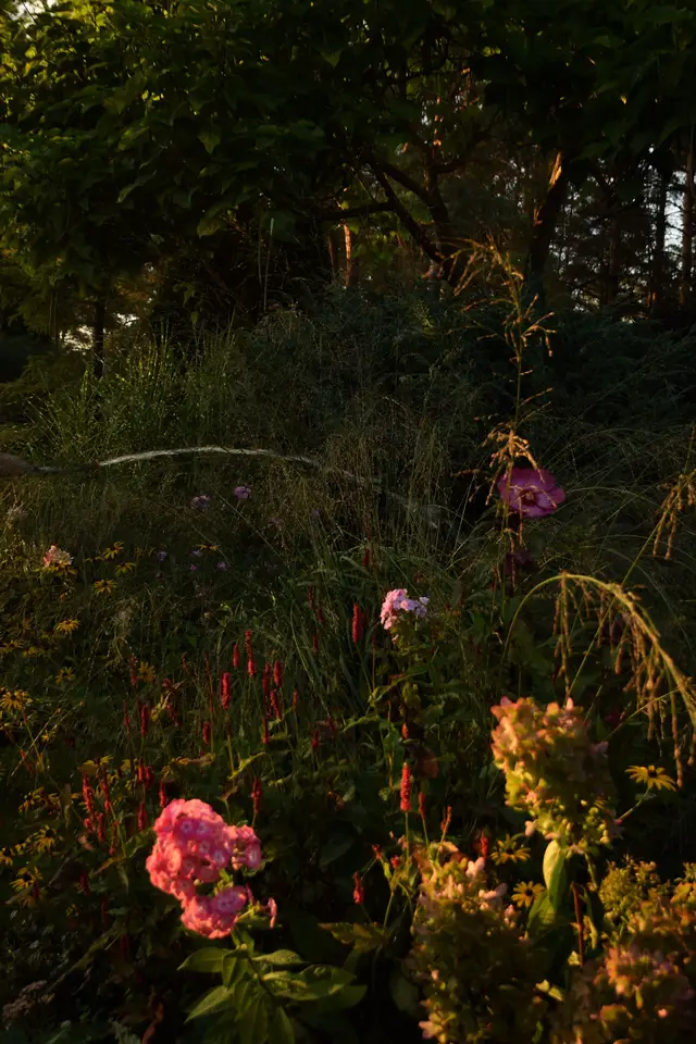 #countryside #autumnvibes #gardening #garden 