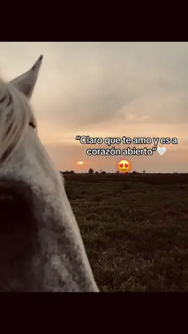 😍🤍#paratiiiiiii #caballos #teamo #atardecer 