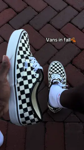 Fall outfit #fashion #menfashion #vans 