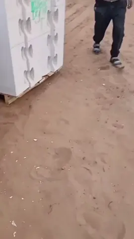 #scared #prank #scareprank #jumpscare #scary #scarecam #scaring #funn#prankwars #lmao#laugh #scarytiktoks #scaringkids #lol #jumpscarevideo #haha #viral#funny#scare #prank#lmao#prank #scared #funny #lmao #fypScaring #funnyvideo #viral #funnypranks #familypranks #fypScaring #fyp 