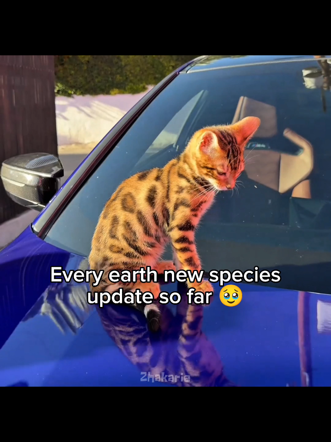 Earth now is getting update 🥹❤️‍🩹 || #Earth #animals #species #fyp #update