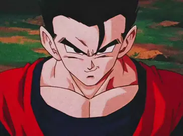 #dragonball #buusaga #gohan #fyp 