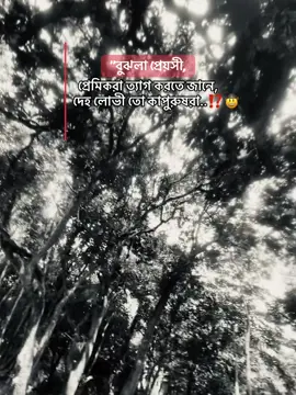 দেহে লোভী তো কাপুরুষেরা🤠🎭#ayn_sumon_17 #reecovery_17 
