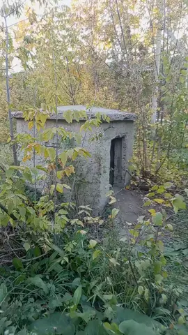 Залазаю в заброшенное бомбо убежище #диггерство #бб #бомбарь🦺 