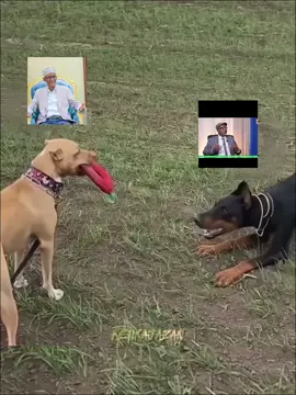 #CapCut 