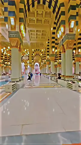 ❤️‍🩹🕊️💝🕋☺️☺️🥰#creatorsearchinsights #tiktokticktock #foryou #muslim #fypシ゚viral 