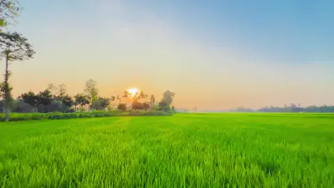 সূর্যাস্ত যেমন দিনের শেষটাকে সুন্দর করে তোলে, তেমনি প্রিয় মানুষটা জীবনের প্রতিটি মুহূর্তকে সুন্দর করে তোলে। 🌅❤️ ইচ্ছে করে প্রতিটি সূর্যাস্ত তার পাশে বসে দেখতে, আর নীরবে শুধু বলতে—তুমি থাকলেই আমার পৃথিবীটা পূর্ণ। 🥹🫶✨ #fypシ゚viral🖤tiktok☆♡🦋myvid #প্রকৃতির_সৌন্দর্য🥰 #fypシppppppppppppppppppppp #foryoupage #fypシ゚viral🖤tiktok☆♡🦋myvideo 