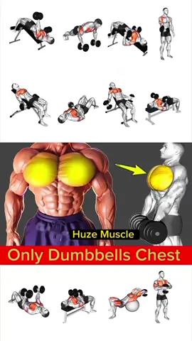 💪 Title Build a Bigger Chest With Dumbbells Only! 🔥 10-Min Chest Workout | Huze Muscle #ChestWorkout #DumbbellWorkout #DumbbellChest #BuildChest #ChestExercises               