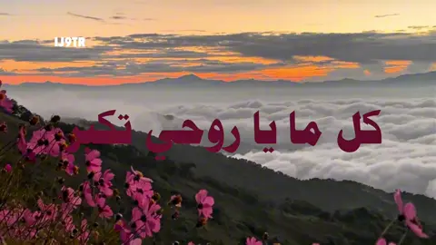 كل ماتحلوا أكثر 🥺 | #طلال_مداح #اكسبلور #fyp #viral #explore 
