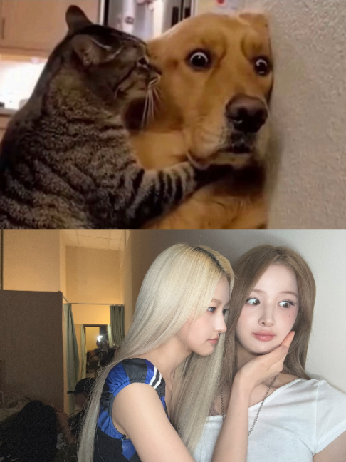 🐱😘 #KISSOFLIFE