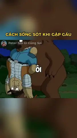 Cách Xử Lý Khi Gặp Gấu #creatorsearchinsights #familyguy #fyp #xuhuong #familyguyanimation 
