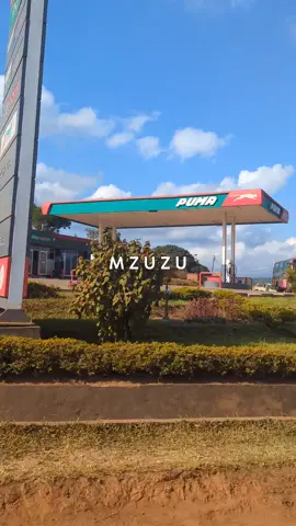 #mzuzu #travel #zambiantiktok🇿🇲 #fyp #malawitiktok🇲🇼 