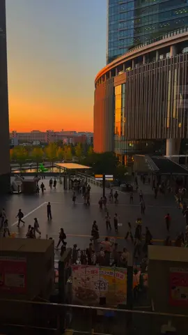 1 góc nhỏ #osaka  , k được đón mùa thu ở nhật nữa  rồi , tạm biệt con đường đi làm hằng ngày của tui 🥺