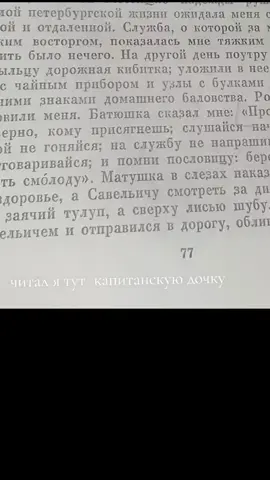 #раст #кибитка 