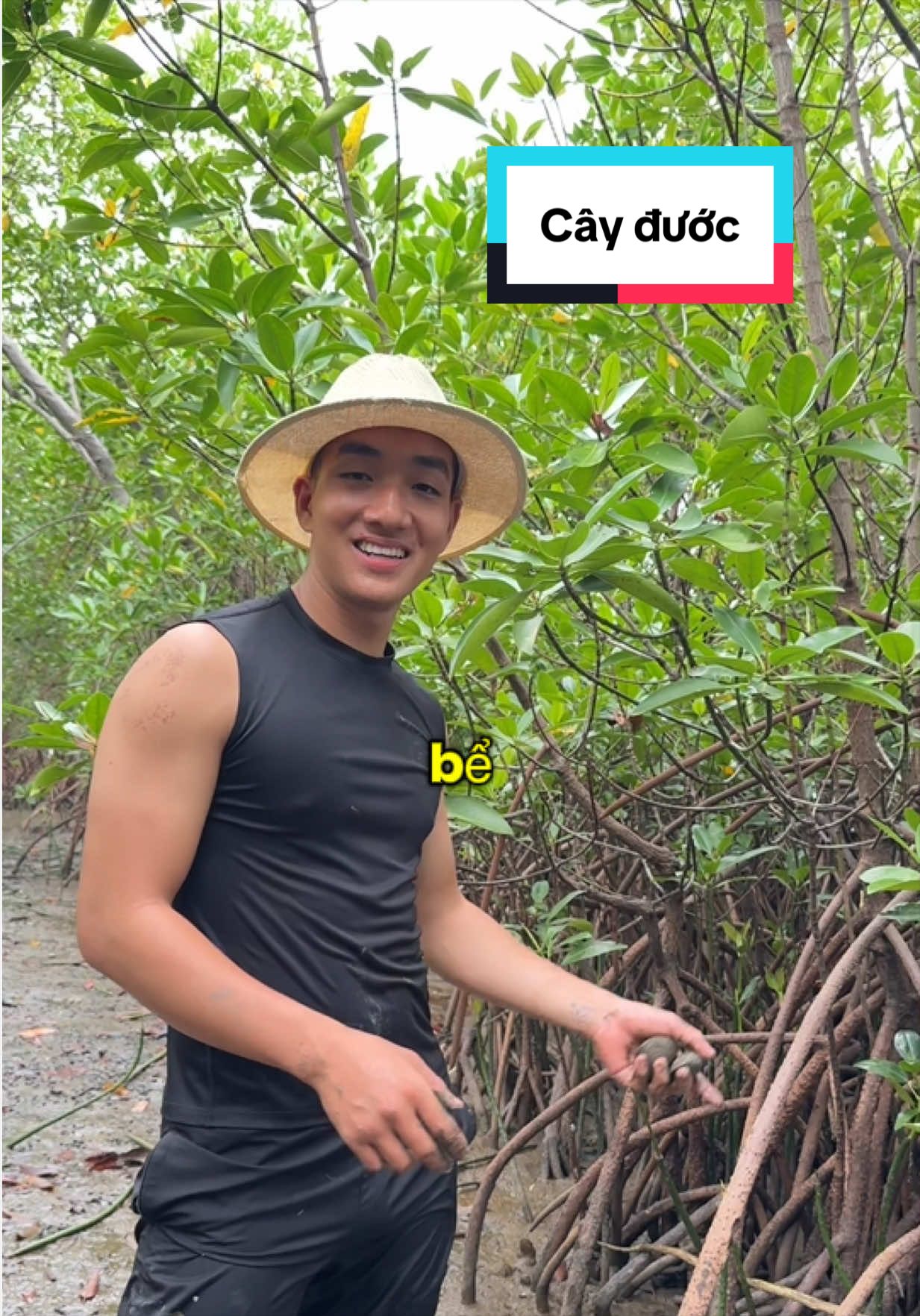 Cây đước chỗ anh chị có không nhỉ #honvungthuy #ninhhoa #tuakhampharungngapman #diaquetanthuy #cheoxuong 