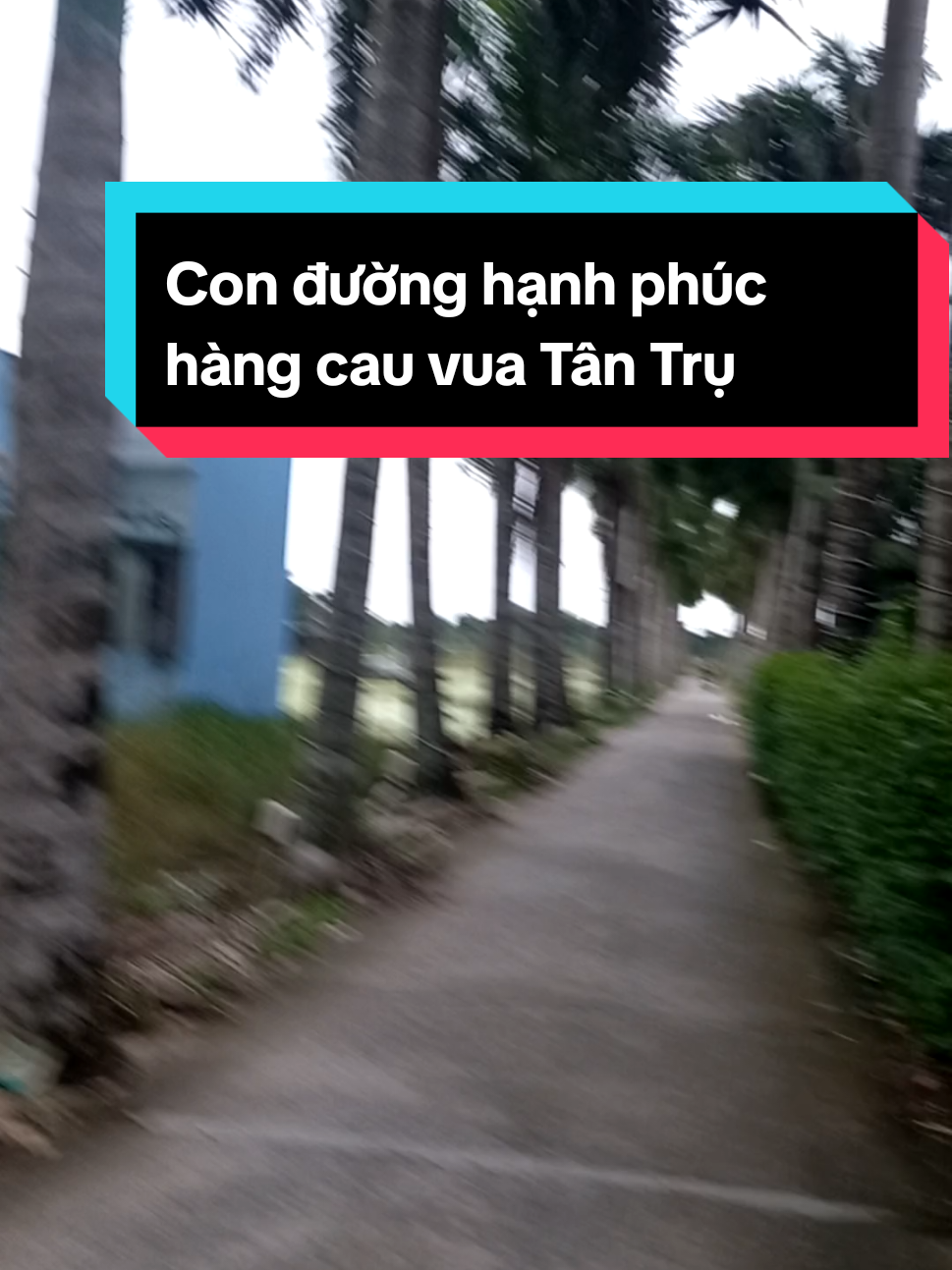 #conduonghanhphuc #livehighlights #xuhuongtiktok #tiktok #xuhuong  đố các bạn chứ có bao nhiêu cây cau