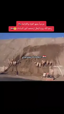 في يوم 6 أكتوبر 1973، لم تكن مصر تنتظر خبرًا عاديًا… كان يومًا سيبقى في ذاكرة الوطن إلى الأبد. 🇪🇬 على الجبهة، عبر الجنود المصريون قناة السويس، وبدأت واحدة من أهم صفحات التاريخ المصري الحديث. جنود حملوا السلاح، وعبروا تحت نيران الحرب، وتمسكوا بالأرض والعَلَم والأمل. وفي الداخل، كانت البيوت المصرية تعيش على صوت الراديو وشاشة التلفزيون… أمهات وزوجات وأسر تنتظر الأخبار، وقلوبها بين الخوف والدعاء والأمل. وفي المستشفيات، كان هناك من يسابق الوقت لمساعدة من عادوا من الجبهة، لأن خلف كل جندي حكاية، وخلف كل بيت قلب ينتظر. ثم جاءت لحظات النصر… وارتفع علم مصر، ورفرف فوق أرض سيناء، لتتحول سنوات الانتظار إلى لحظة فرح لا تُنسى. أكتوبر ليس مجرد تاريخ في التقويم… إنه ذكرى وطن، وجيش، وشعب عاش لحظة غيّرت صفحة من تاريخ مصر. 🇪🇬❤️ رحم الله شهداء مصر، وحفظ الوطن وأهله، وستظل ذكرى أكتوبر حاضرة في وجدان كل مصري #تحيا_مــ𓁳𓆃ـصــ𓅮ـــر🇪🇬  #مصر_العظمي_قادمة_بأبنائها🇪🇬🦅💪  #الجيش_المصري_مصنع_الرجال💪🇪🇬   #ذكرى_حرب_أكتوبر ✌️🇪🇬 #الزعيم_عبد_الفتاح_السيسي 🫡🇪🇬