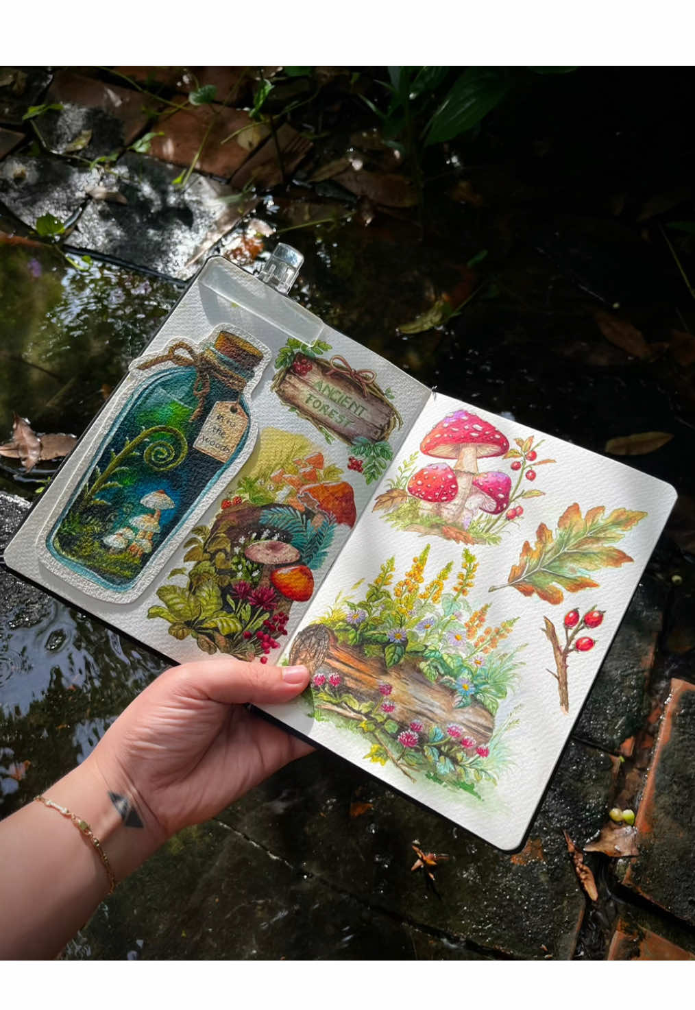 Thu về, nắng chạm hiên nhà.  Gió hong chiếc lá chiều tà dịu êm 🍁🍂  #colinh #watercolor #inkdrawing #arttheforest 
