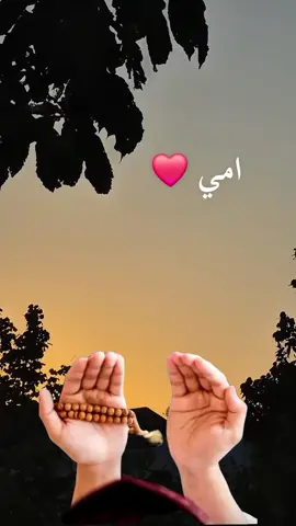 #امي #اللهم_اجعل_امي_سيدة_من_سيدات_الجنة #اللهم_آمين #يارب🤲 