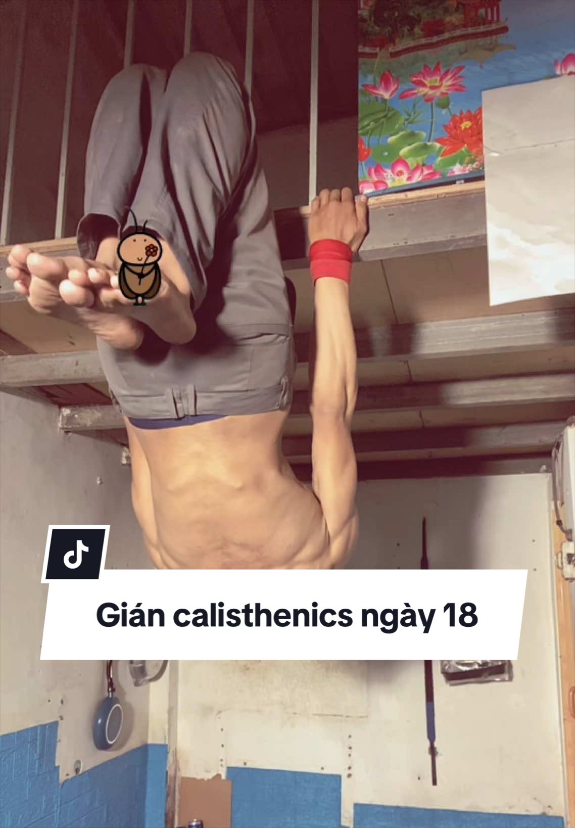 Gián calisthenics #xuhuong #viral #fiter #tapluyen #gián 