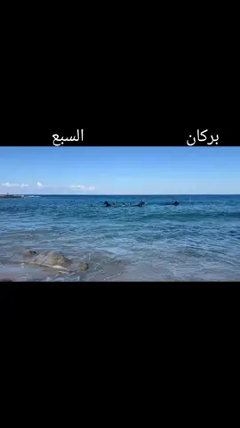 #المثاني_وهلها🔥💪🏻 #الخيل #ترند_تيك_توك #