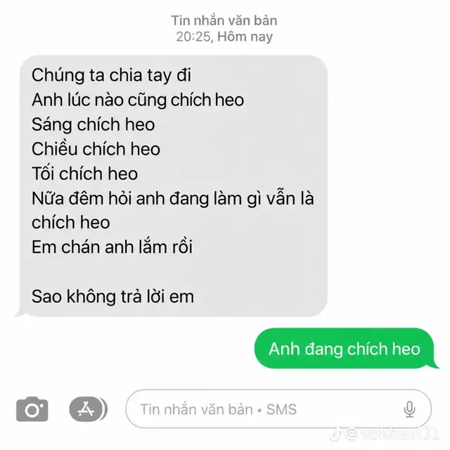 Trong lúc này mà cứ đòi chia tay... thôi thì ai chia thì chia. Anh đi chích heo bán cám trước, tính sau nhé. #thucanchannuoi #tiktok #xuhuong #heo #newhope