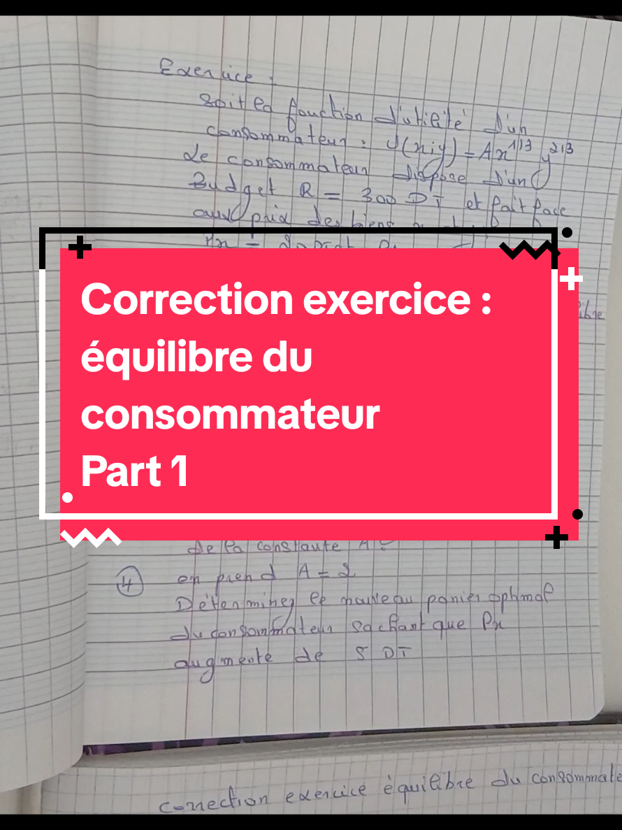 🚨 Bac eco 2027 : correction exercice équilibre du consommateur 