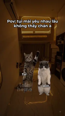 Pov: tụi mài yêu nhau lâu không thấy chán à #homestay #homestayhanoi #lelahome #catmemes