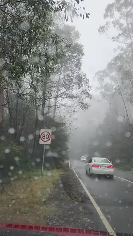 🇦🇺 Melbourne ✨️ Australia ♥️ Snow day in Australia ❄️ #australia #travelaustralia #melbourne #visitmelbourne #travelmelbourne 