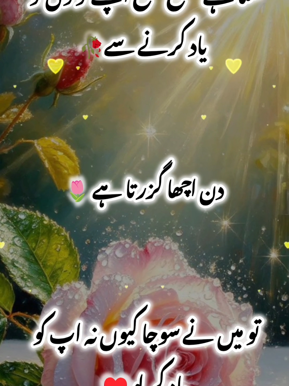 Good morning everyone ☺️🌅🥀💔♥️#fyp #foryou #foryoupage #trending 