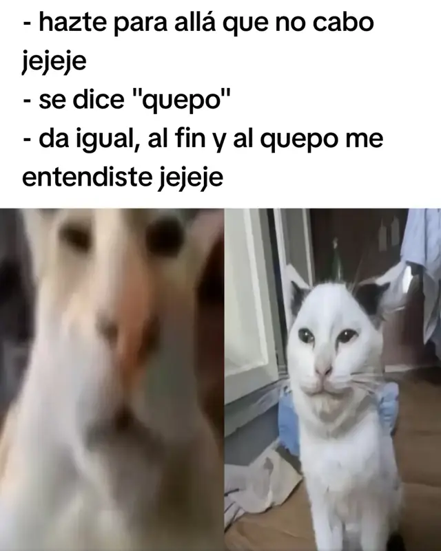 #kuierezerminobia #xbyzca #fyp #xdd 
