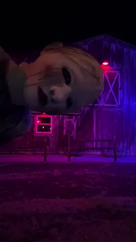 Open TONIGHT!!  7pm-11:30pm 🎟️Nchauntedfarm.com - #nchauntedfarm #sissyhauntedfarm #ashevillenc #scareactor #halloween2026 