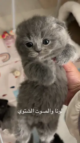 للتنوية هي سليمة، كل مابغت تطلع تسوي نفس الحركة وإذا طلعتها رجع صوتها الطبيعي #مشاهير_تيك_توك #مالي_خلق_احط_هاشتاقات #الشعب_الصيني_ماله_حل😂😂 #اكسبلور #fyp 