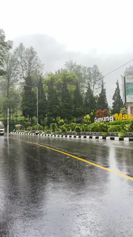 Puncak dengan hujannya #puncakbogor #fypシ゚viral🖤tiktok #hujan #puncak 