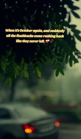 When it's October again, and suddenly all the flashbacks come rushing back like they never left.❤️‍🩹🥀 #wintervibes #fyp #viralvideo #viralsong  #creatorsearchinsights 