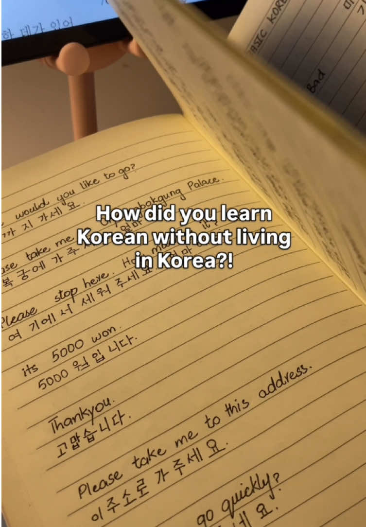 How did you learn korean that fast?!  #korean #learningkorean #koreanlanguage #studytok #bunpo 