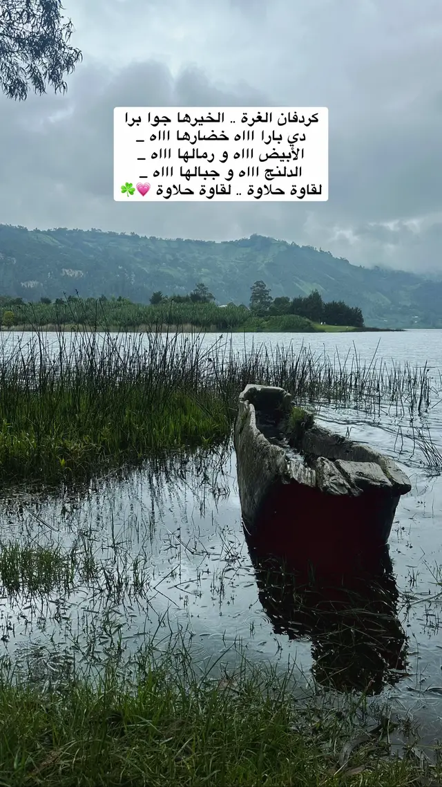 يانسيم يا ماري .. هواها شاغل بالي هوها شاغل بالي♥️