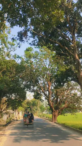 তোমরা কি ফুটবল পাগল নাকী ক্রিকেট?  আমি ফুটবল ভালোবাসি #সিরাজগঞ্জের_মাইয়া #নাদিয়া_সিরাজগঞ্জ #foryoupage❤️❤️ #ভাইরাল_ভিডিও 
