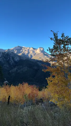 Mt. Charleston in Autumn #lasvegas #Hiking #trails #autumn #fall 