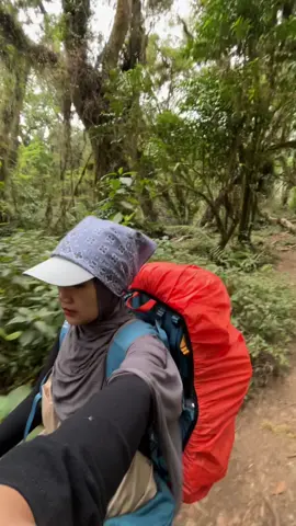 ludeng ludeng #pendakigunung #pendakicantik #gunungslamet #gunungjateng #fyppp 